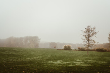 Morgens im Park bei Nebel im Herbst
