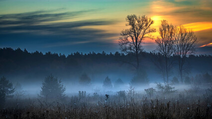 Fog in a forest at sunrise. Autumn foggy morning.