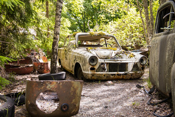 Forgotten combustion car cemetery in a forest