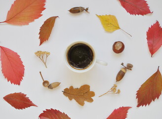 autumn leaves background and a cup of coffee