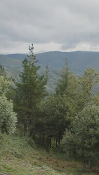 Vista majestuosa desde un ventanal hacia una monta&ntilde;a con &aacute;rboles frondosos, iluminada por un sol resplandeciente que se asoma entre nubes. Un momento de serenidad y conexi&oacute;n con la naturaleza