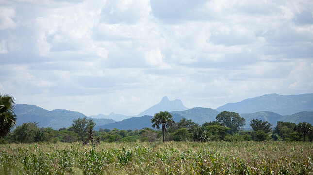 The landscape of South Sudan with the Imatong Mountains in the background