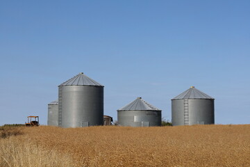 Fototapeta na wymiar grain metal bins , farm, canola