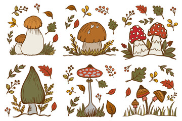 Set autumn illustration with falling leaves, berries and mushrooms, fall floral elements