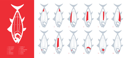 Brand new Red Tuna Cuts diagram (ronqueo). Parts of tuna written in Spanish.