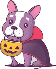 Cute frenchie (french bulldog) puppy wearing a vampire Halloween costume, holding Jack o lantern candy bucket for trick or treat vector cartoon illustration isolated on white