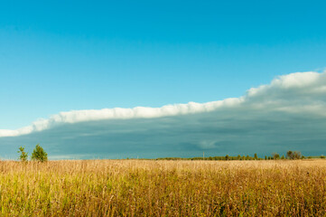A rainy thundercloud is approaching over the yellow fields