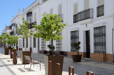 Moguer white street, Andalusia, Spain - 652922348