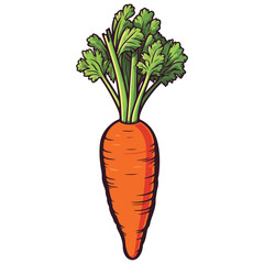 Vector Carrot, Carrot Print, editable and print ready carrot vegetable, eps, image Suitable for Cricut, clip art