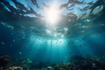 Foto op Aluminium An underwater photo of the ocean with sunlight coming into the water and lots of fish. © Sina
