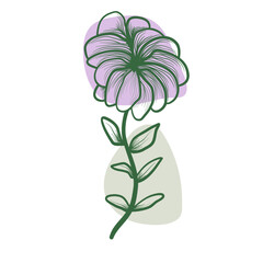 pink flower isolated on white