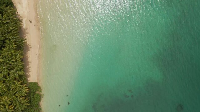 Parque nacional isla Coiba 