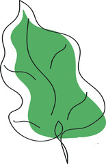 illustration of a green leaf