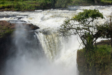 Murchison Falls, the waterfall where the Nile River plunges over a cliff.