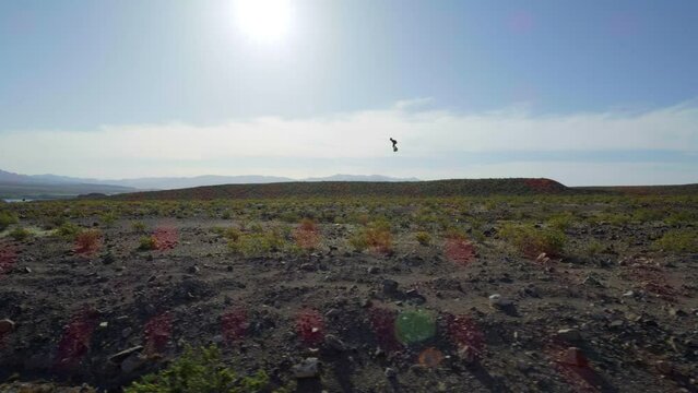 Human flight, flying fast over desert at extreme speeds