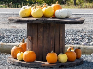 Colorful Pumpkins on display on a Wooden Reel