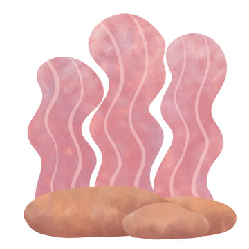 cate cartoon pink coral and rock