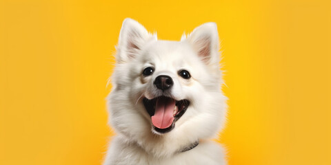 Happy puppy dog smiling on isolated yellow background.