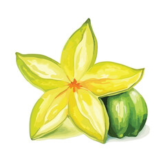 Watercolor Star fruit Illustration isolated on white background, vector illustration star fruit