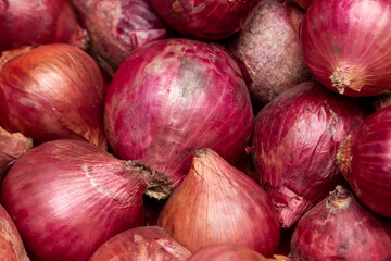 Onion texture background close up