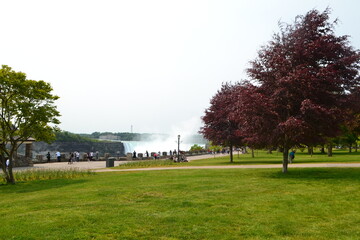 park in the park
