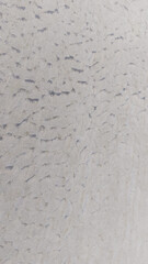 white wall background