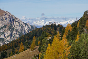 Italian Alps - Strudelkopf