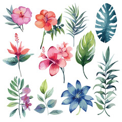 Watercolor tropical floral illustration set with green leaves . Decorative elements template. illustration isolated on white background.Exotic tropical flowers and leaves
