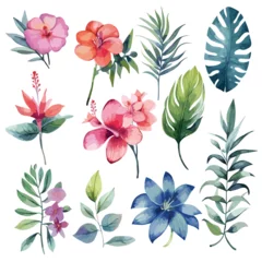 Deurstickers Watercolor tropical floral illustration set with green leaves . Decorative elements template. illustration isolated on white background.Exotic tropical flowers and leaves © Zara