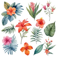 Fototapete Tropische Pflanzen Watercolor tropical floral illustration set with green leaves . Decorative elements template. Flat illustration isolated on white background.Exotic tropical flowers and leaves. illustration