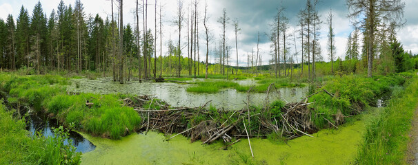 Biberdamm Panorama © Werner