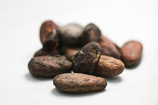 F&egrave;ves de cacao