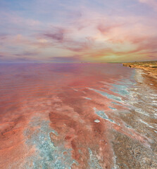 Pink extremely salty Syvash Lake, colored by microalgae with crystalline salt depositions. Also known as the Putrid Sea or Rotten Sea. Ukraine, Kherson Region, near Crimea and Arabat Spit. - obrazy, fototapety, plakaty