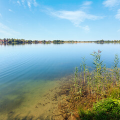 Summer lake calm rushy shore.