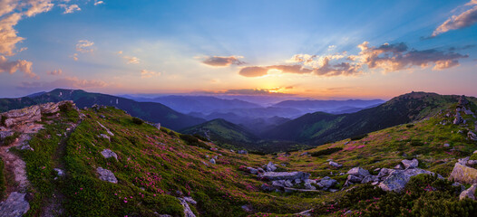 Carpathian morning summer panorama view. - obrazy, fototapety, plakaty