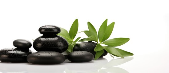 Isolated black spa stones with green plant on white background