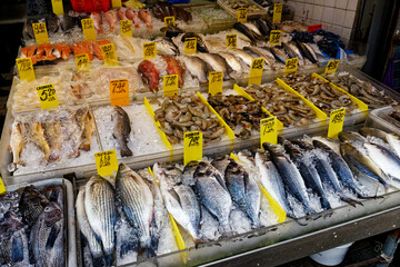 fresh fish on the market