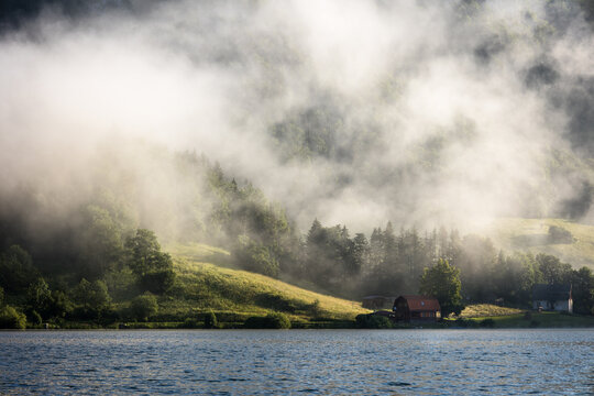 Foggy morning in forest near Dedinky village in Slovak Paradise national park