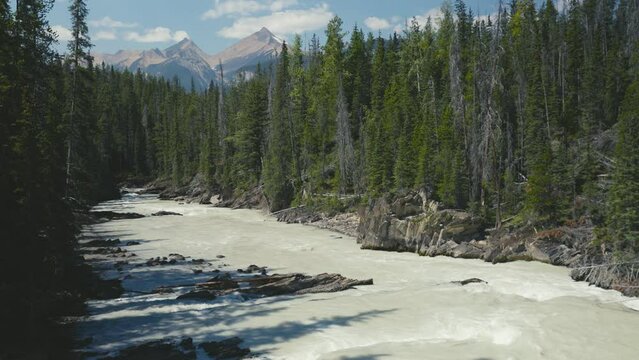 The stunning scenery of Yoho National Park in Canada with a small river and huge mountains in the background, a clear bule sky and rockie moutain range in summer daytime
