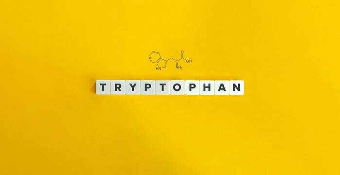 Tryptophan Word and Skeletal Formula.