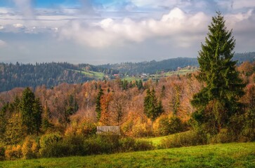 Highland landscape. View of wooden hut on the glade in the forest, Beskids mountains in autumn season.