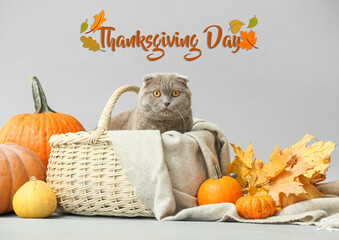 Banner for Thanksgiving Day celebration with cute cat in basket