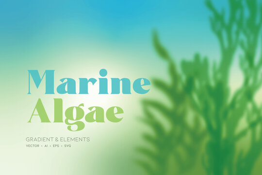Marine Algae, decorative vector background. Background graphics with elements.