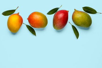 Fresh ripe mangoes on light blue background