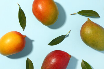 Fresh ripe mangoes on light blue background