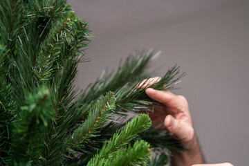 mano sosteniendo agujas de rama filosas de árbol de navidad artificial  - obrazy, fototapety, plakaty