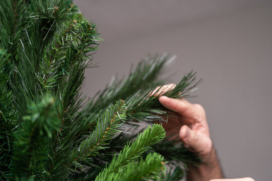 mano sosteniendo agujas de rama filosas de árbol de navidad artificial 