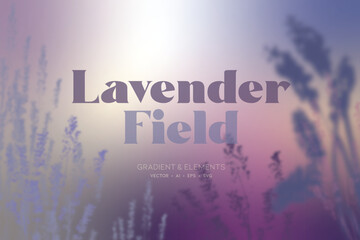 Lavender Field, decorative vector background. Background graphics with elements. © Ewa