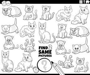 find two same cartoon cats activity coloring page