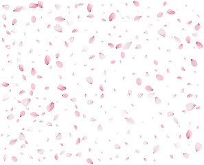 Lovely spring background from pink petals.